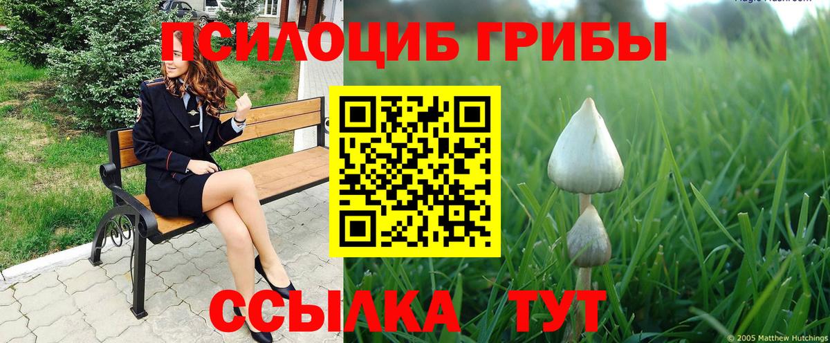 Галлюциногенные грибы Cubensis  Псилоцибиновые грибы мицелий  Вход с VPN  магазин    Красный Сулин 
