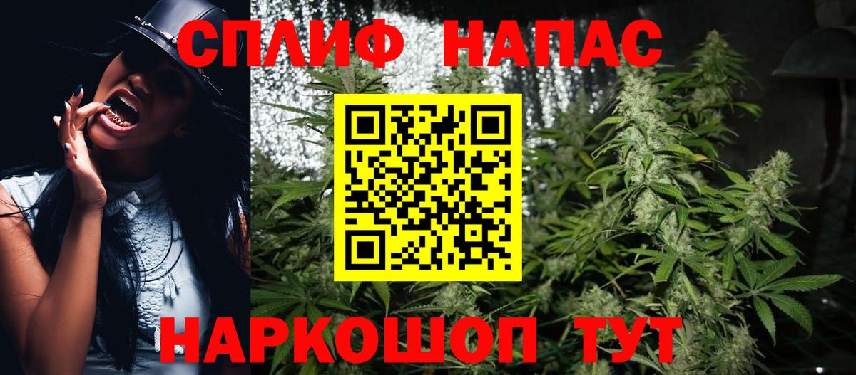Канабис сатива Красный Сулин