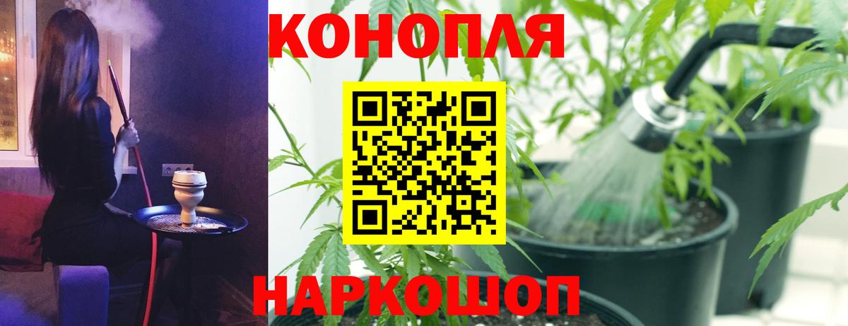 Бошки марихуана ГИДРОПОН  Вход с VPN  Канабис сатива  Красный Сулин  Марихуана сатива 